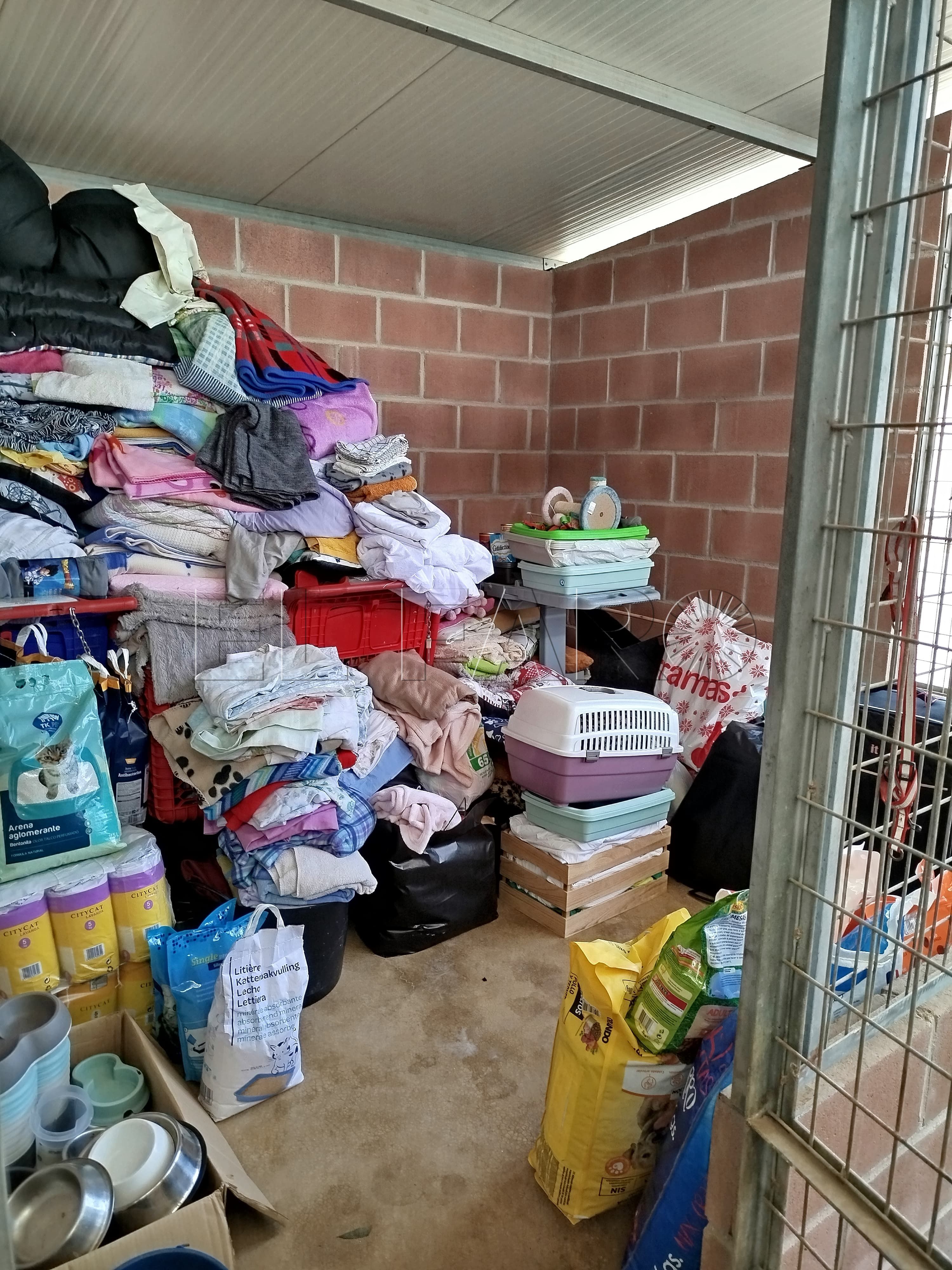 WhatsApp Image 2024 11 03 at 12.39.23 Lluvia de donaciones en la Protectora para los refugios de Valencia