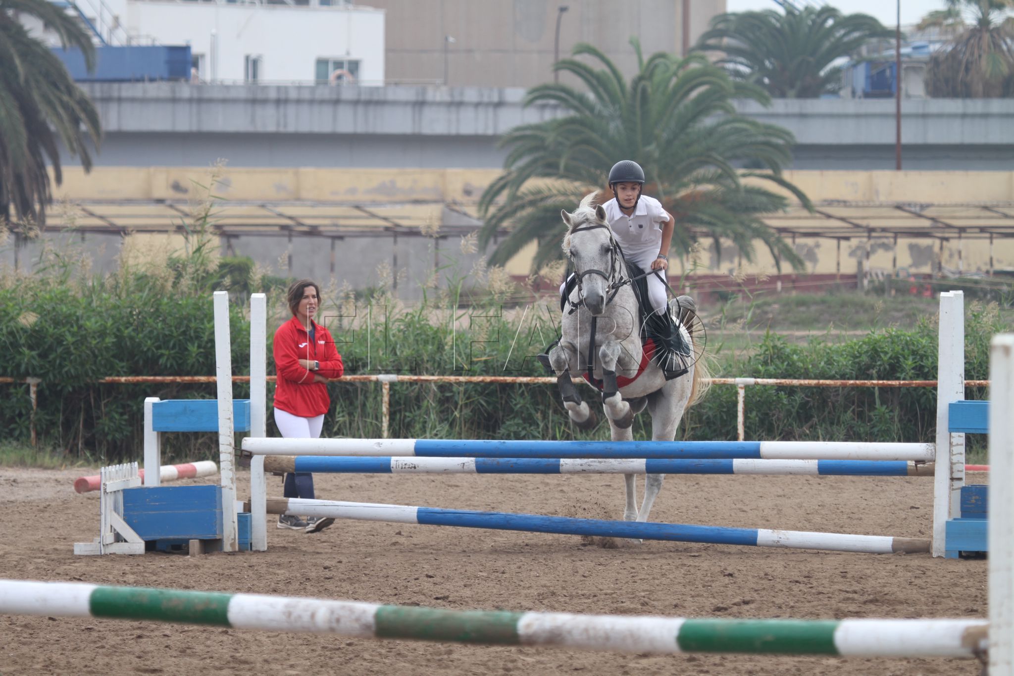 WhatsApp Image 2024 11 09 at 16.04.02 La equitación puso el espectáculo deportivo
