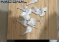 abbadaa0 d60a 43bb b35a 33d91e22d990 Desarticulado un punto "muy activo" de venta de drogas en Ataque Seco