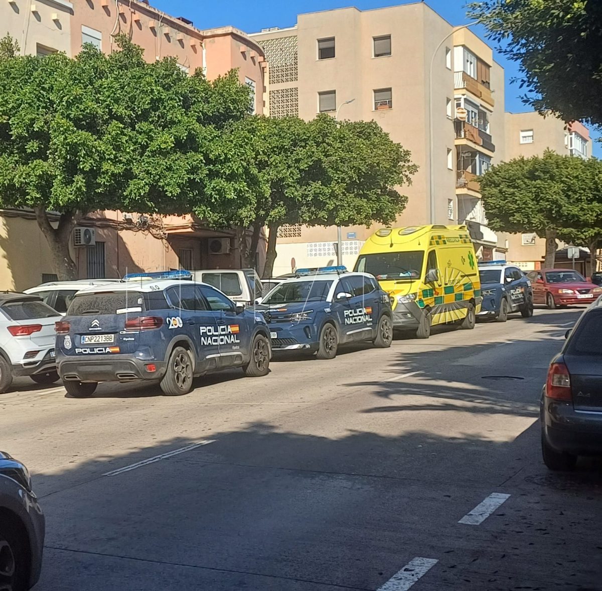 4b4b51c7 81c7 48b1 840f 000129733186 e1734899417735 Detenido un individuo por atacar a su padre en la calle Paseo de Ronda