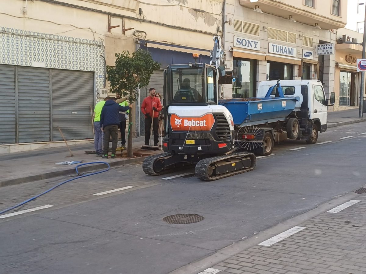 970f4cb1 c0c2 446d 8678 71a9f5a55a8f e1734525994623 El primer tramo de García Margallo ya luce su nuevo arbolado