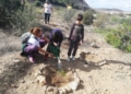 WhatsApp Image 2024 12 15 at 18.00.03 Guelaya realiza la primera plantación de su calendario forestal