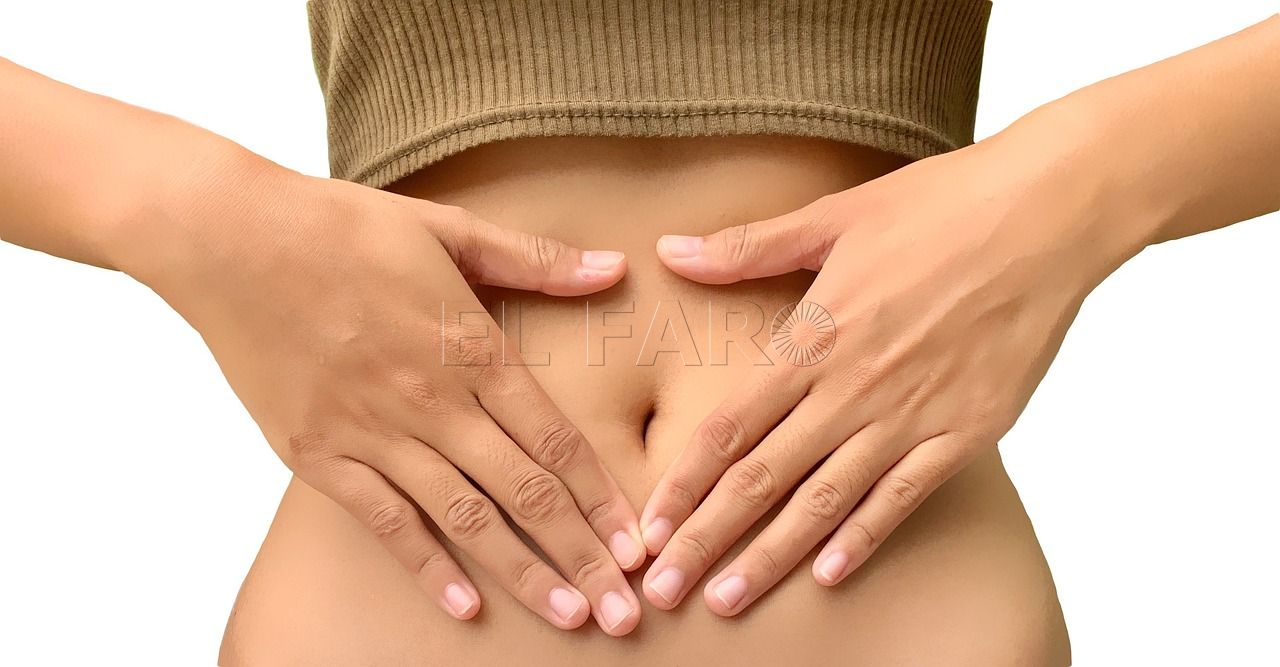 ibs 5308379 1280 La microbiota, el estrés y la alimentación: las claves de una digestión saludable