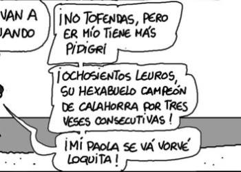 ml181224 e1734479354681 Miércoles 18 de diciembre de 2024