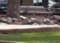 5901af9a 14a5 4636 969b 69e6f9ddc69f Arrancan las obras de renovación de la Plaza de España