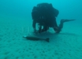 6 2 Se encuentra en Melilla la Unidad de Buceo de la Armada de Cádiz