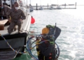 7 Se encuentra en Melilla la Unidad de Buceo de la Armada de Cádiz