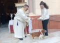 WhatsApp Image 2025 01 17 at 17.45.28 Los melillenses llevan al Sagrado Corazón sus mascotas para conmemorar San Antón