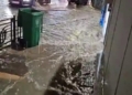 c6947c1a 6f78 4eee 9a4f f4b19b0c2b5b Melilla despide 2024 con lluvias que colapsan el alcantarillado