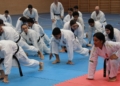 222 Curso de Shiai Kumite impartido por una campeona del mundo
