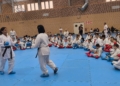 44343434 Curso de Shiai Kumite impartido por una campeona del mundo