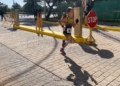 480534013 954716740097666 406557956187426409 n Víctor Zubioca y Lucía Romero, ganadores de Autonómico de Duatlón