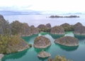 7aa8b5ce b888 4c52 98b7 a408960109cc Buceomelilla parte a descubrir las aguas de Indonesia