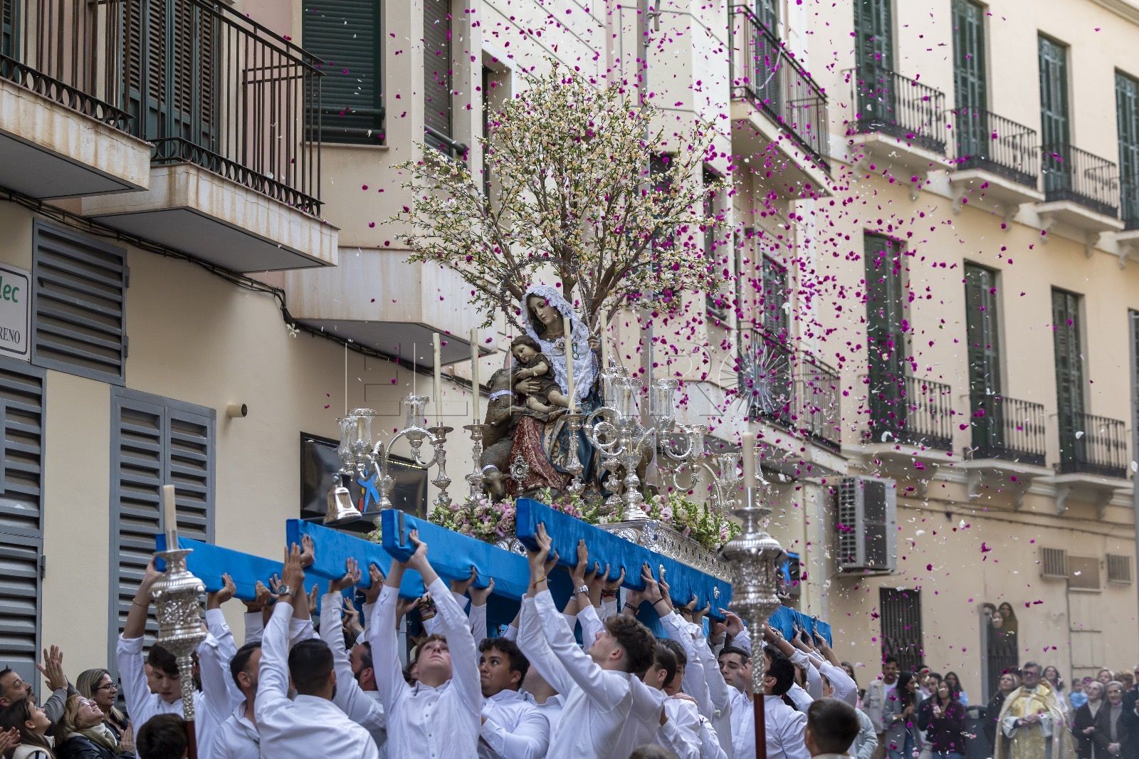 DIVINA PASTORA 10 Sorpresa en la Hermandad de la Divina Pastora tras denegar la Coronación a su virgen