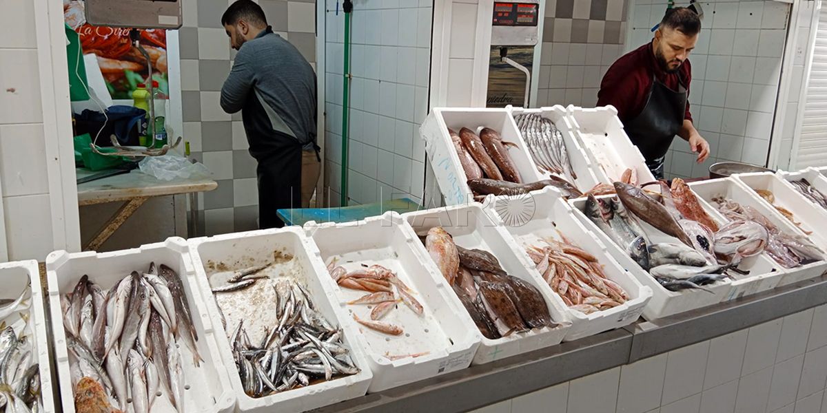Pescado Web El pescado procedente de Marruecos no llega a Melilla para decepción de los empresarios
