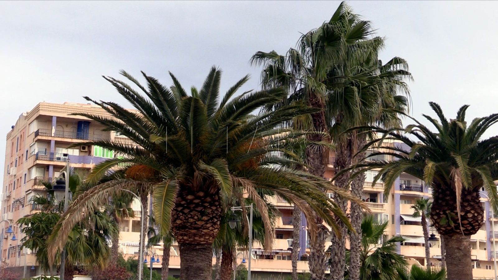 Tiempo 3 Previsión Tiempo: Melilla, 28 de febrero de 2025