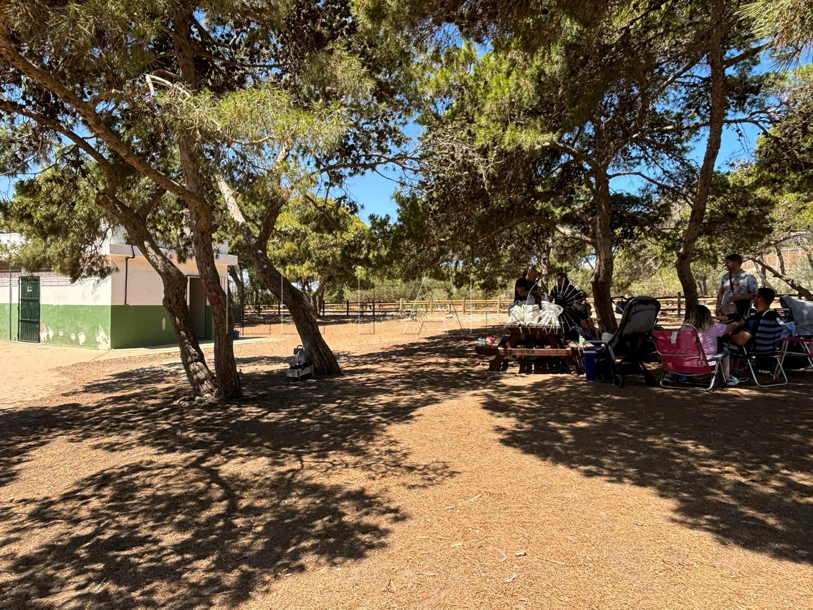 Pinares de Rostrogordo