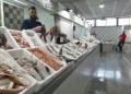 WhatsApp Image 2025 02 20 at 17.20.54 El precio y el sabor, las ventajas del pescado marroquí frente al español