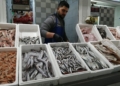 WhatsApp Image 2025 02 20 at 17.20.54 3 El precio y el sabor, las ventajas del pescado marroquí frente al español