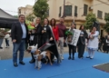 WhatsApp Image 2025 02 22 at 17.25.17 1 Un jardín de flores para "la florecilla de la casa" gana el concurso de mascotas del Carnaval de Melilla