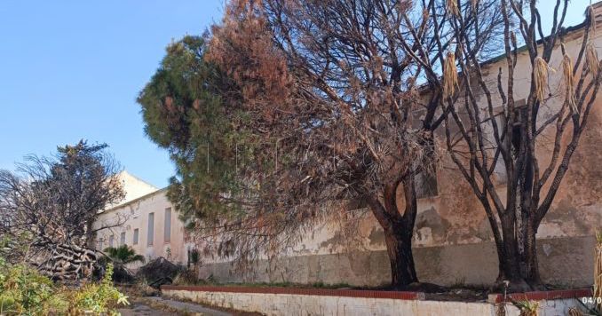 cuartel de santiago recorte Guelaya presentará una denuncia contra la Ciudad por delito medioambiental en el cuartel de Santiago