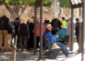 turistas autobus Unos 500 turistas arrancan la temporada de cruceros de 2025 en Melilla